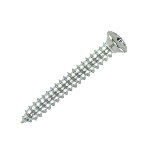Stainless Steel Oval Head Phillips Tapping Screws